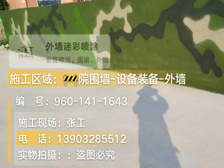 黄浦 迷彩漆喷涂价格（按平方米计费）